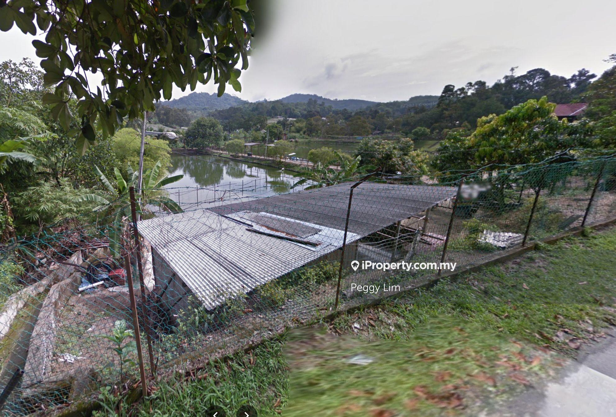 Hulu Langat Agricultural Land For Sale