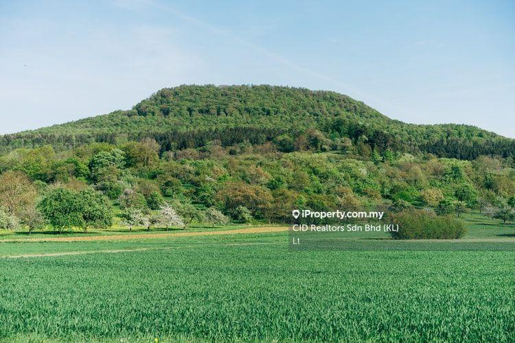 Agriculture land for Sale