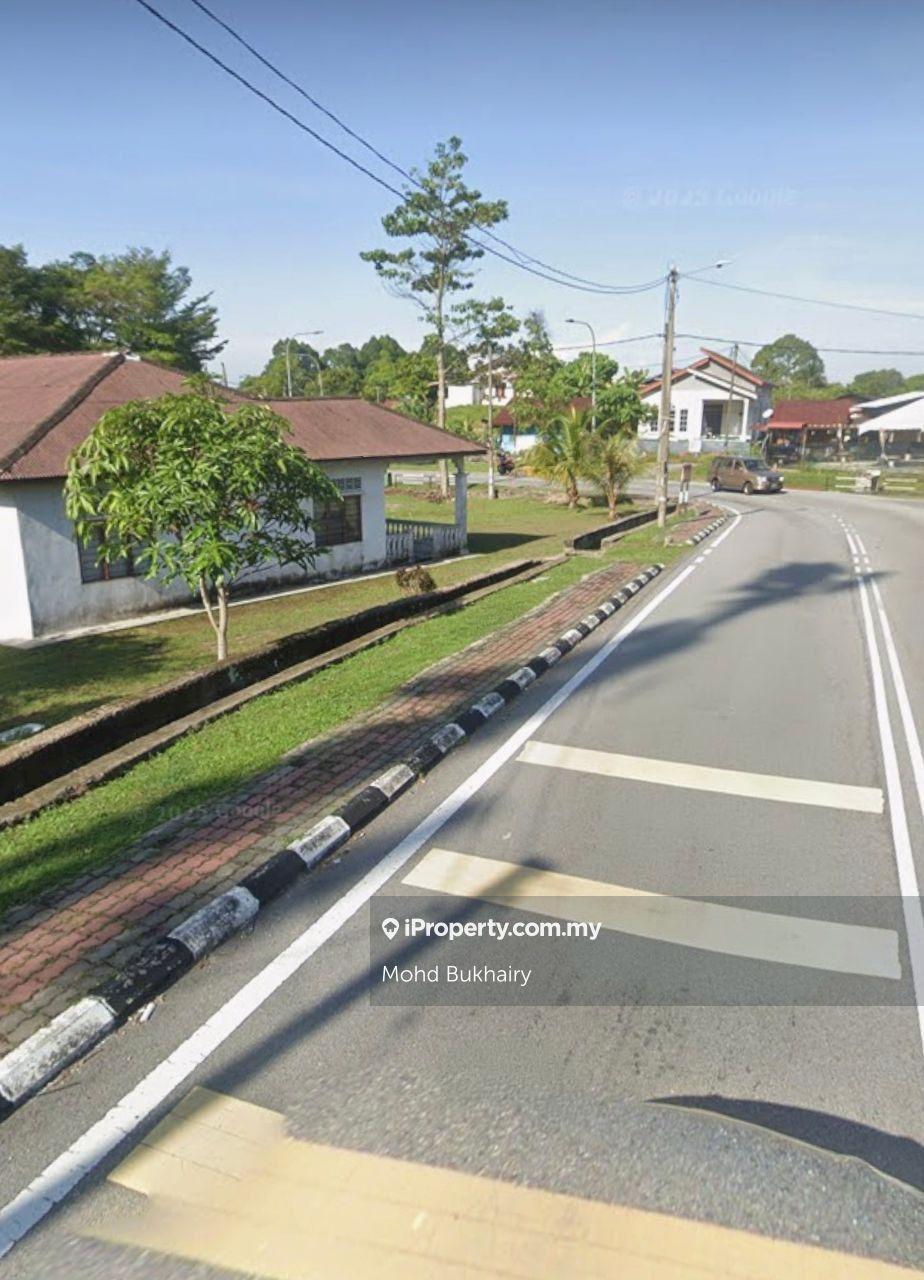 Beside Main Road Potential and Matured Area