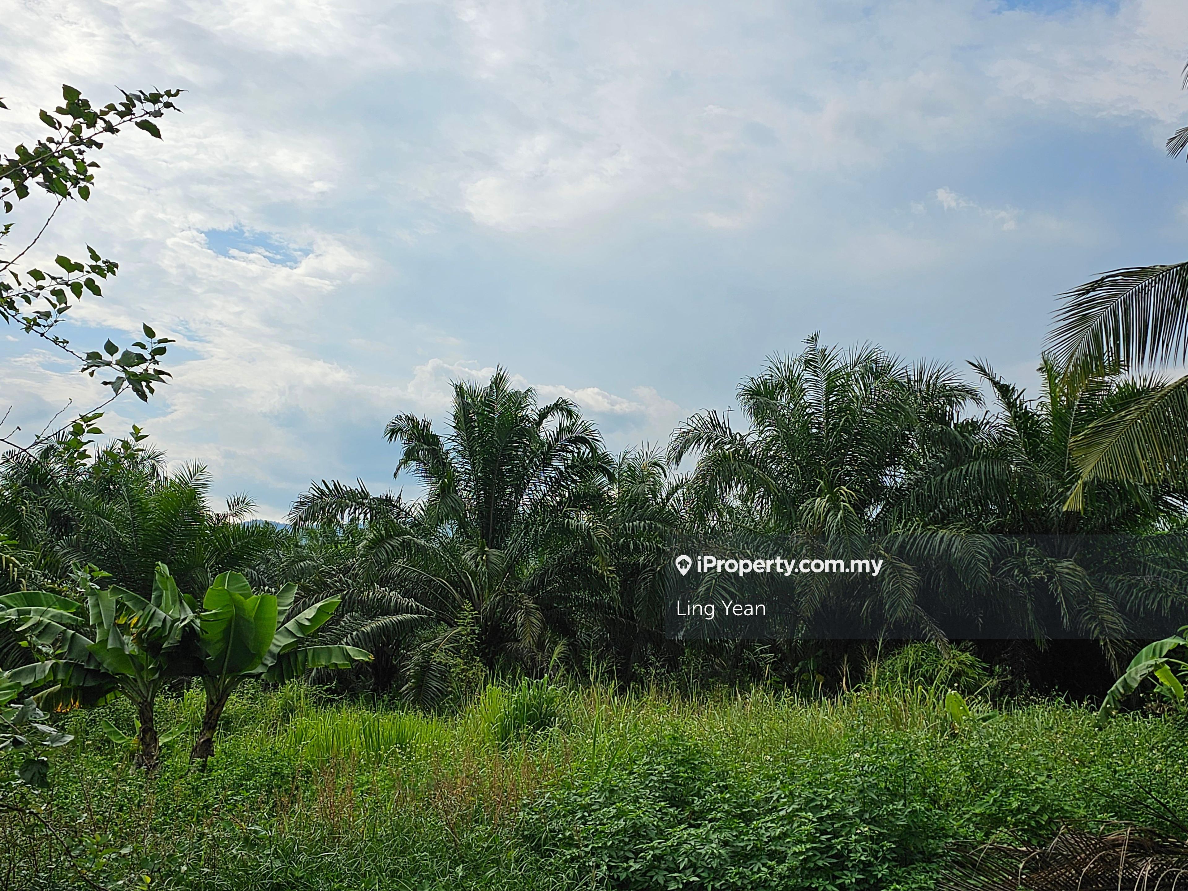 Flat land with stream at the side, zoning for residential