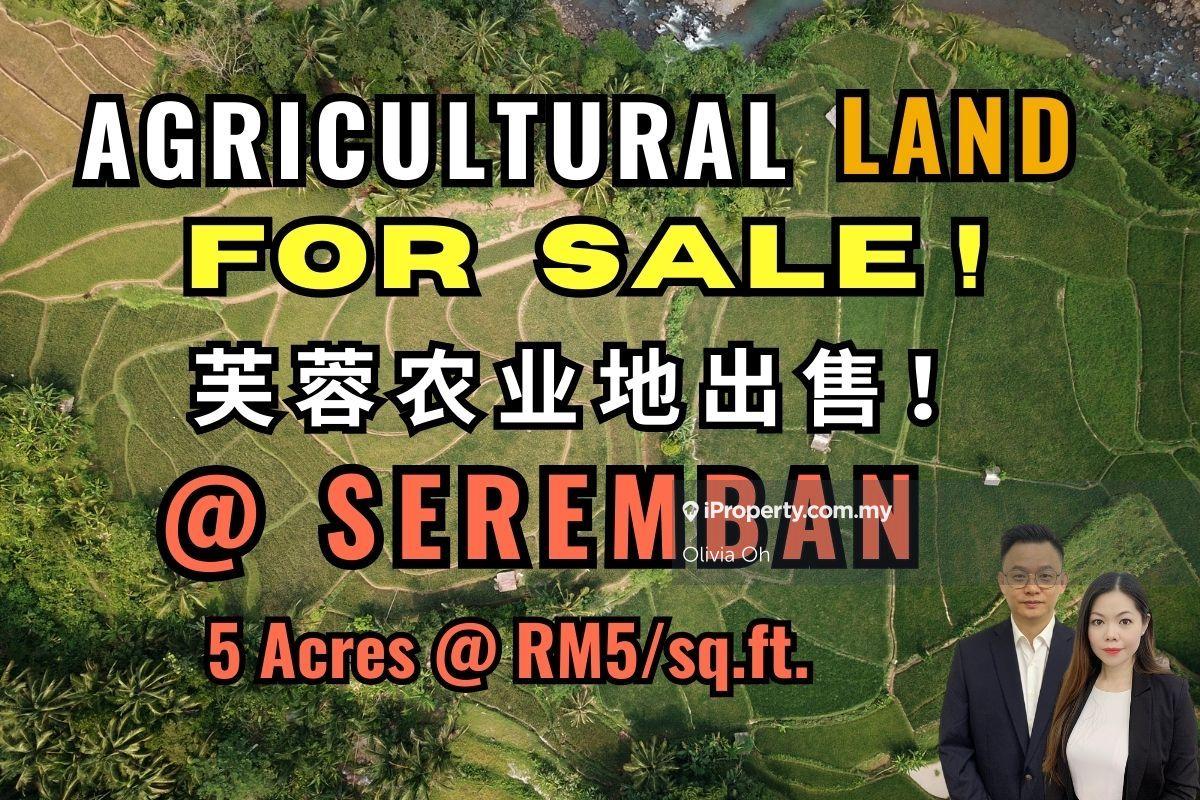 Kuala Sawah, Seremban -5 Acres Agricultural Land For Sale