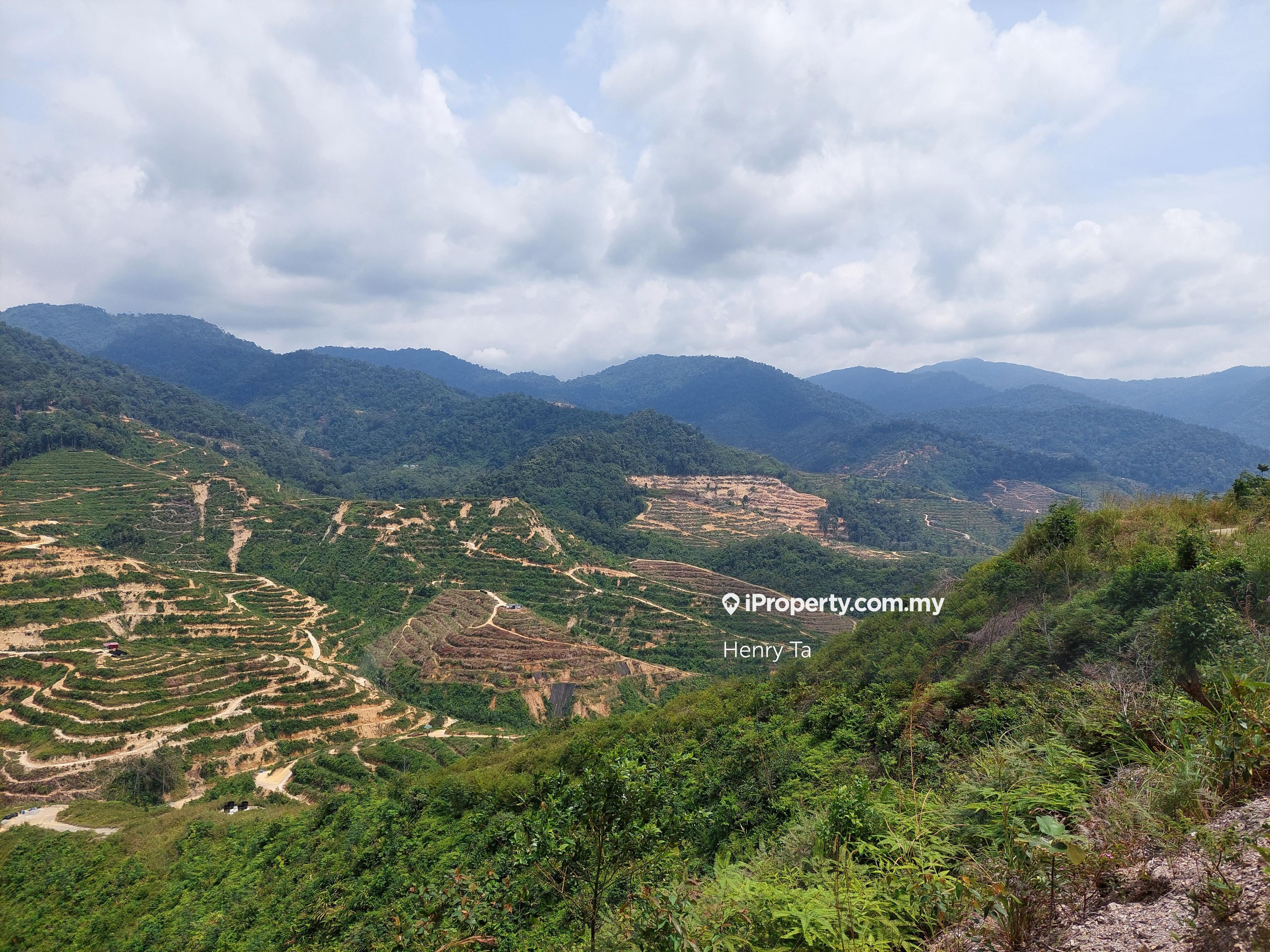 Raub Kampung Sang Lee Durian Plantation With Factory