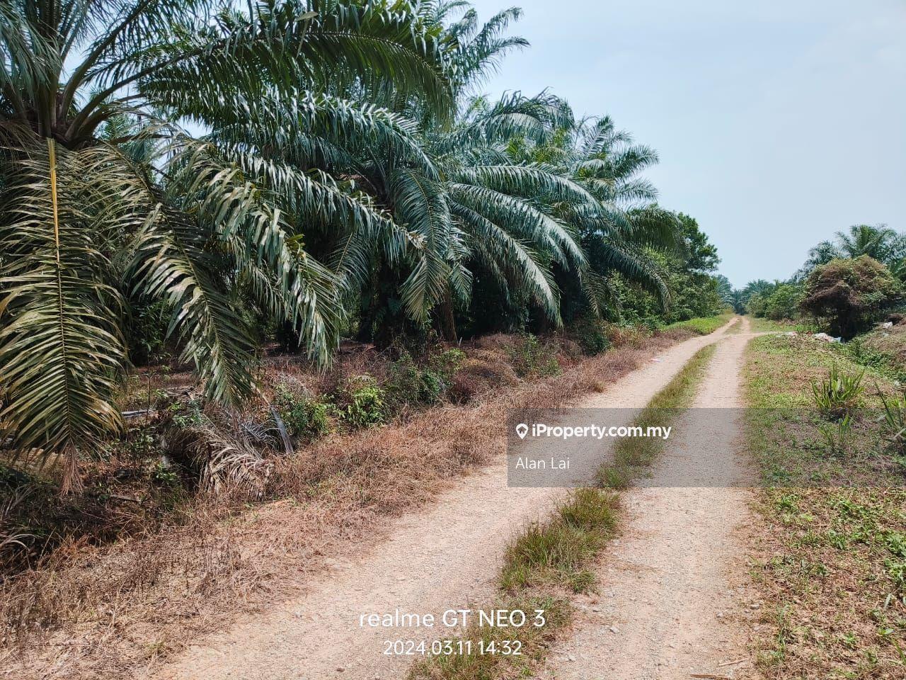 Below Value Agriculture Land Sungai Pelek Sepang