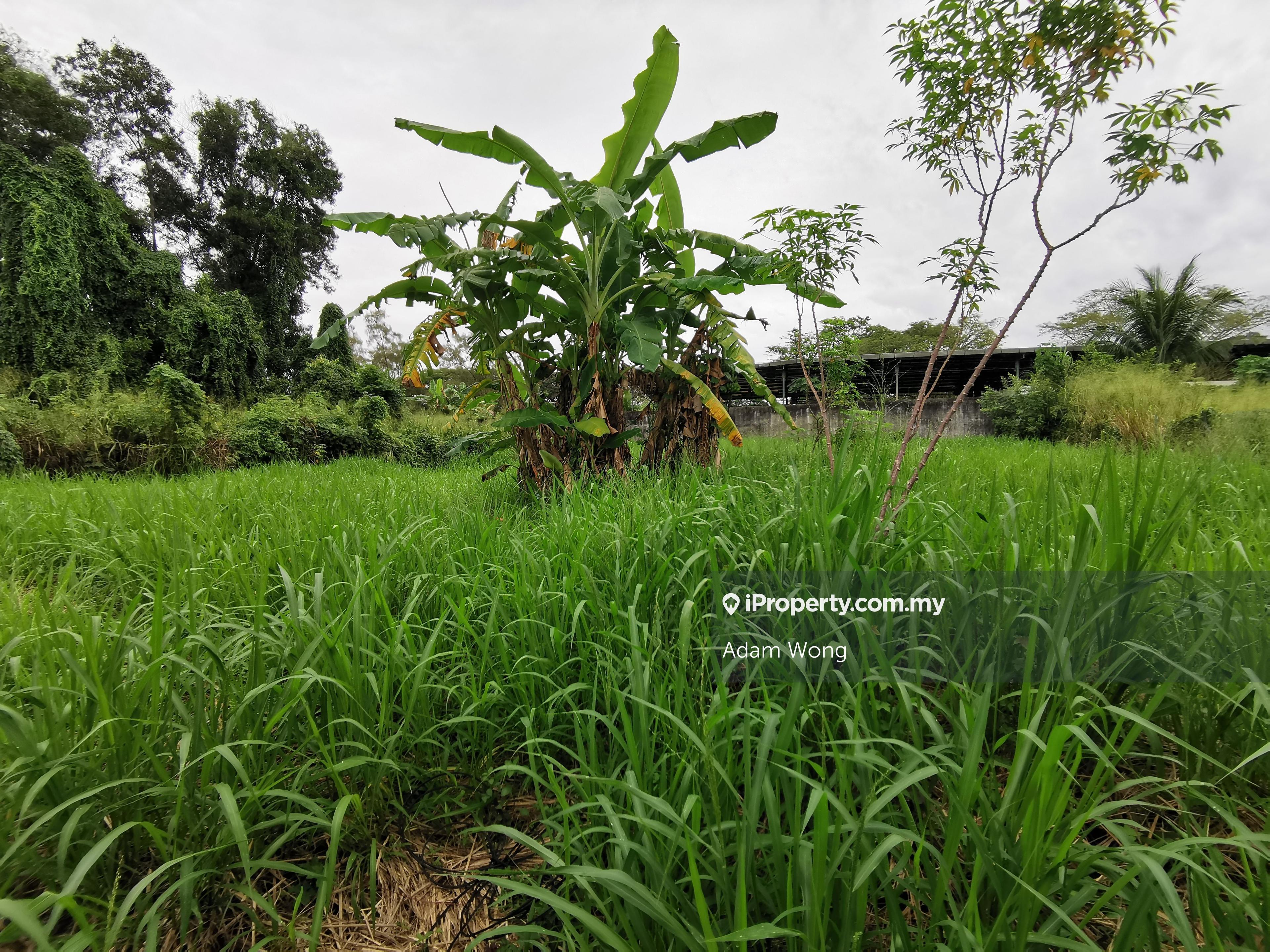Square Shape Vacant Residential Bungalow Land Cinta Sayang Golf Club