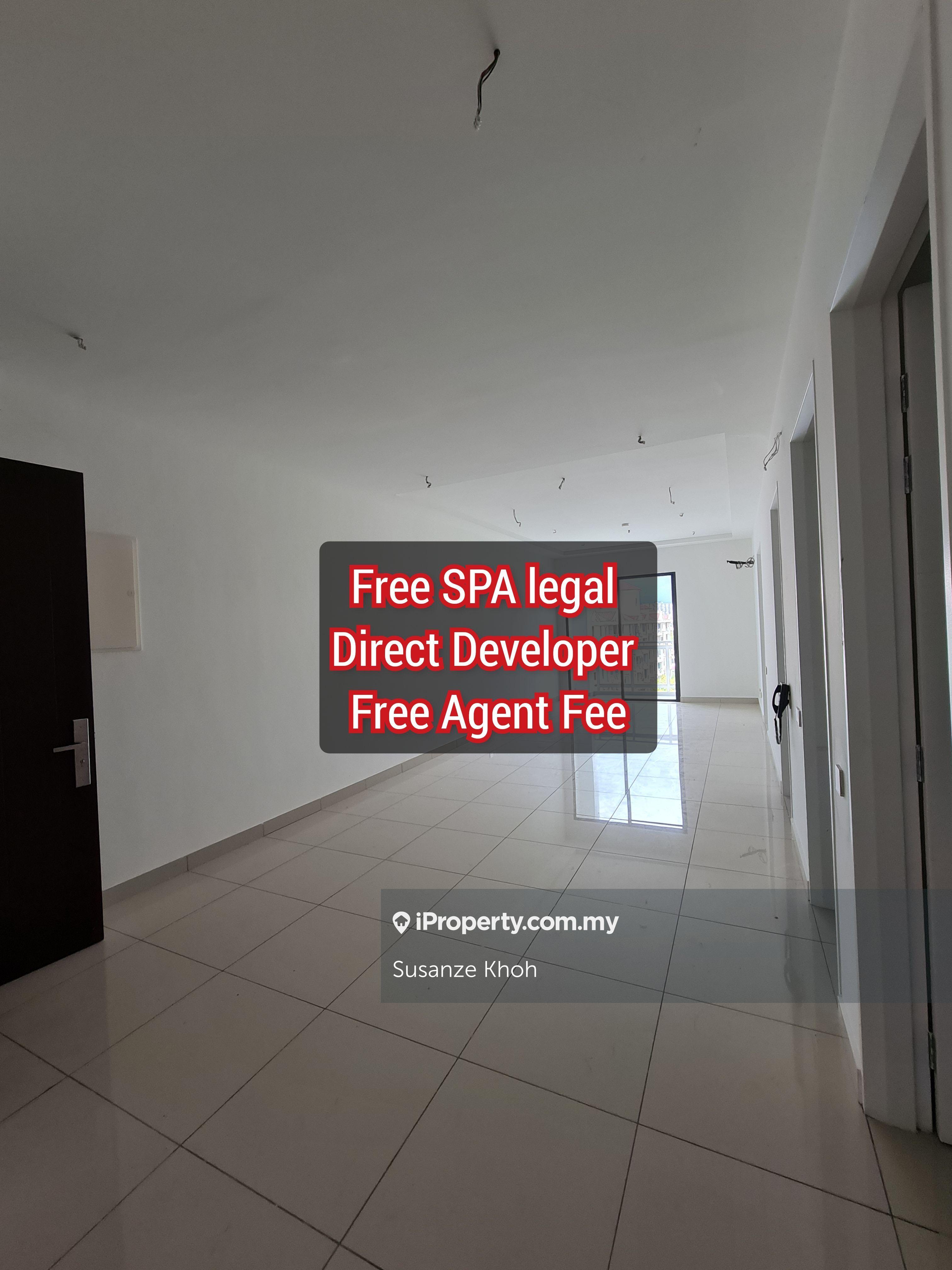 Direct developer