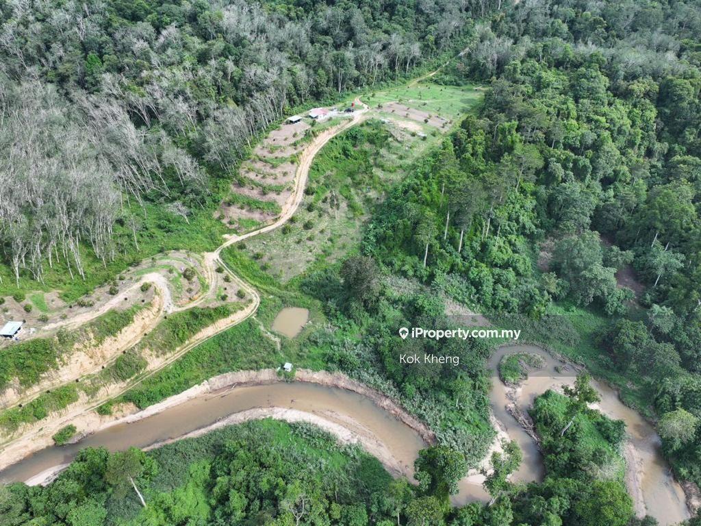 Lenggong Perak 10 acres Musang King Orchard Land For Sale