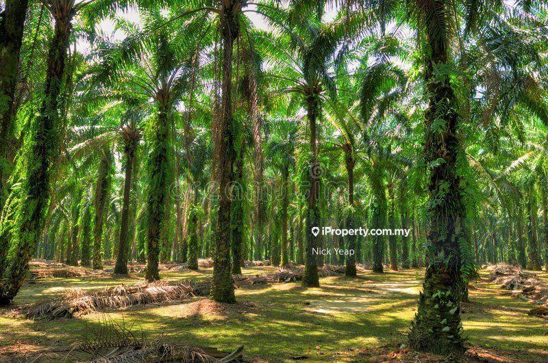 Industrial land for Sale