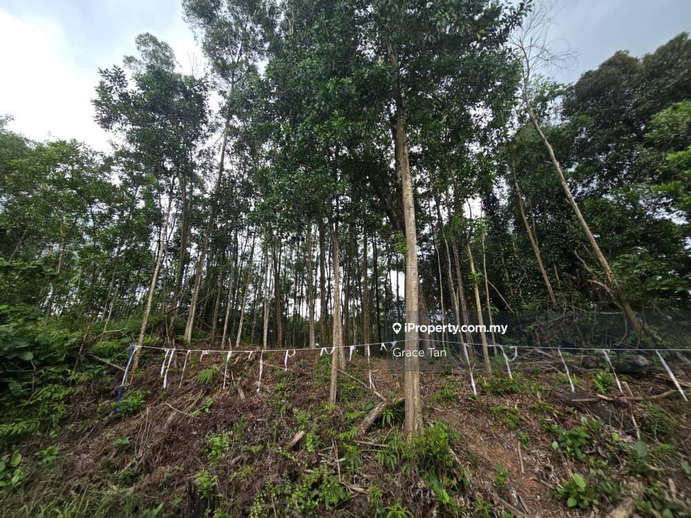 Rare Rectangular Hillside Lot For Sale , Main Road Facing South