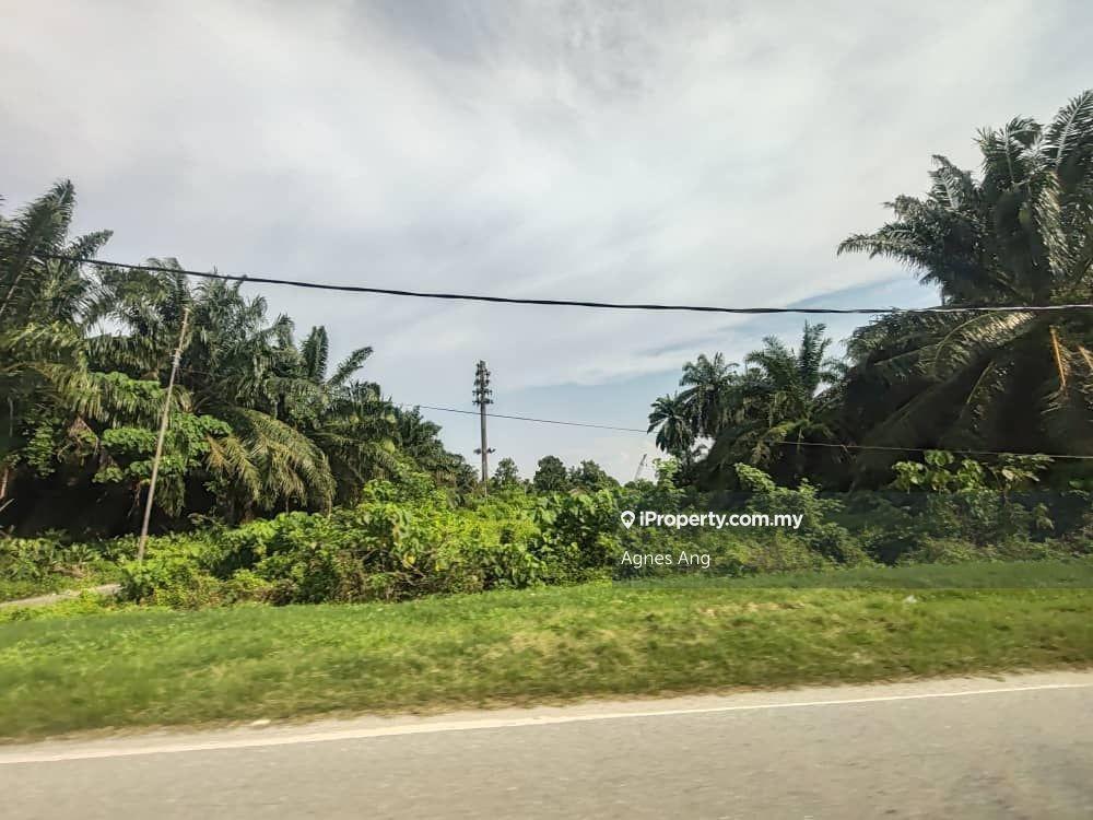 Telok agriculture land