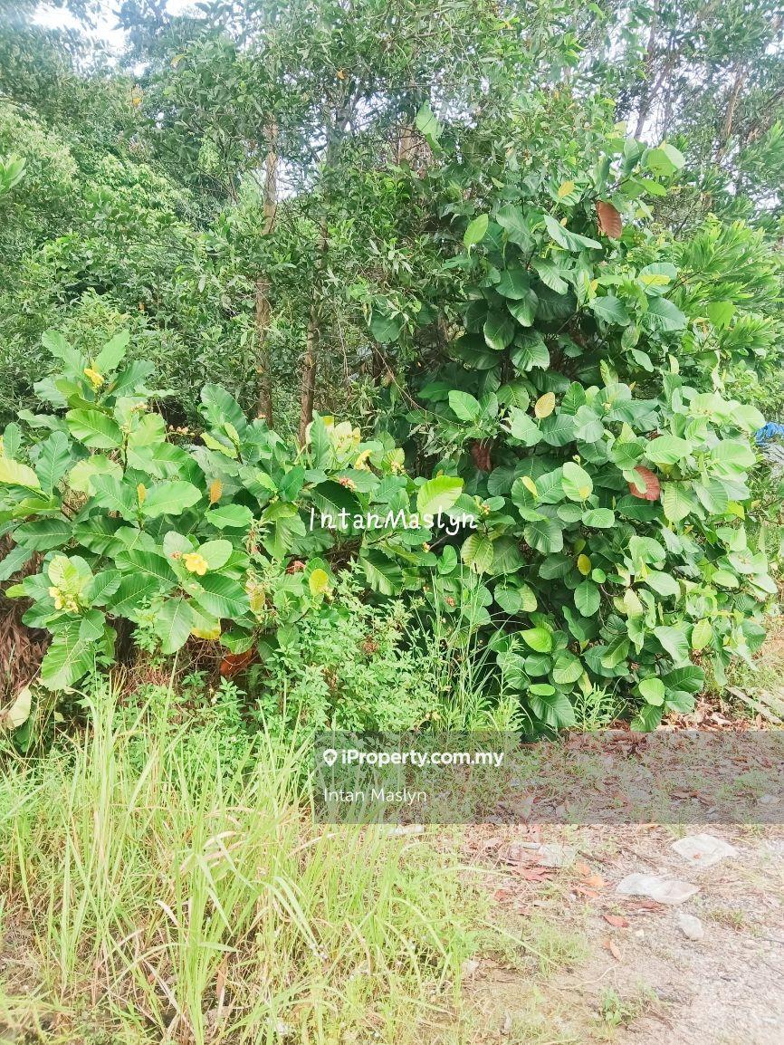 Tanah Sg Merab, Mukim Dengkil (Residential Land)