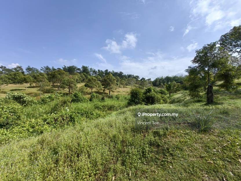 9.1 Acres Freehold Musang King Durian Farm Raub