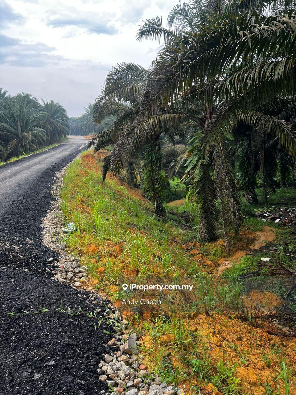 For Sale Agricultural Land @ Kulai