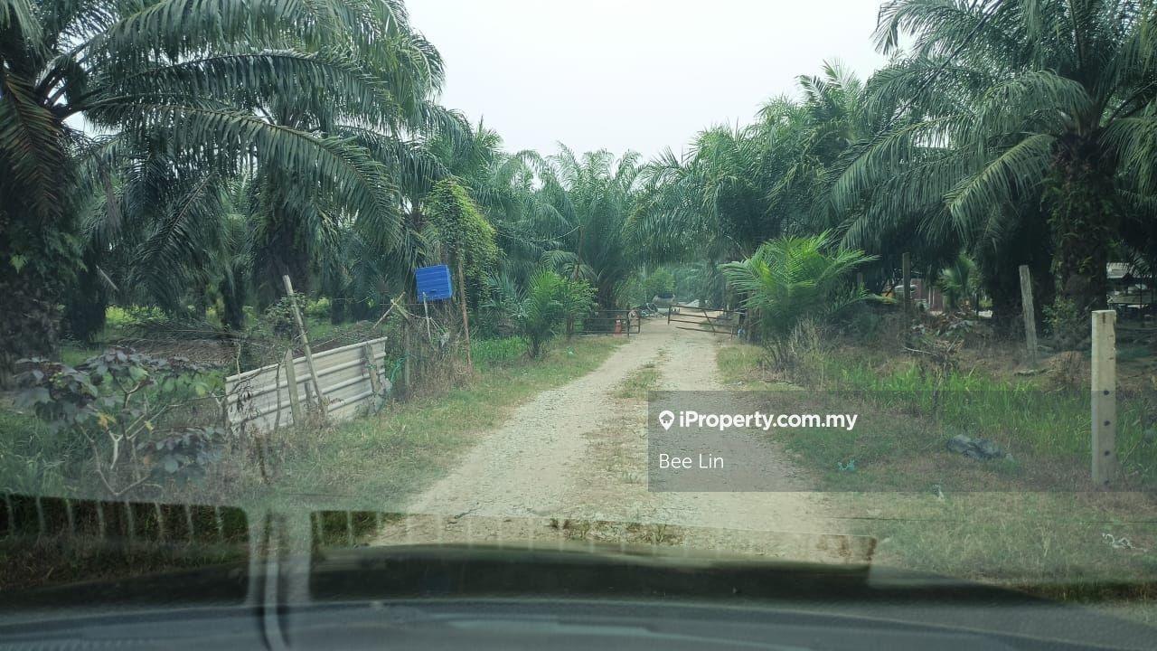 66 acres oil palm plantation @ Kuala Selangor for sale