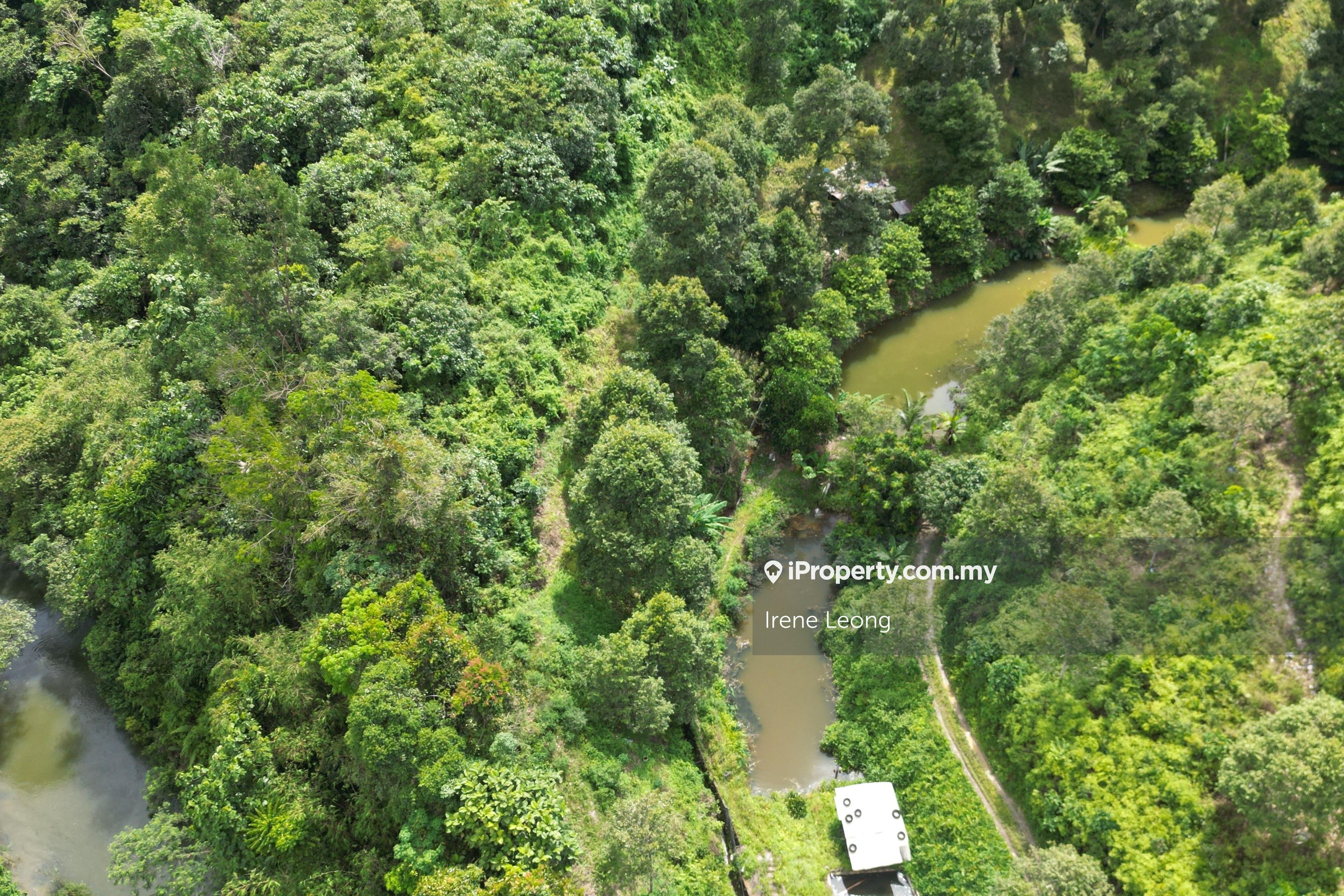 36 acres Bentong (Taman Saga) Durian & Vacant Land For Sale