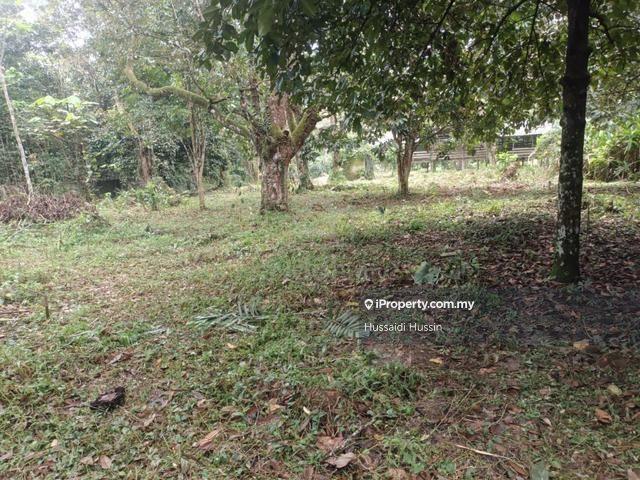 Tanah Pertanian 7 ekar Untuk Dijual Di Lubok Kelubi, Mukim Hulu Langat