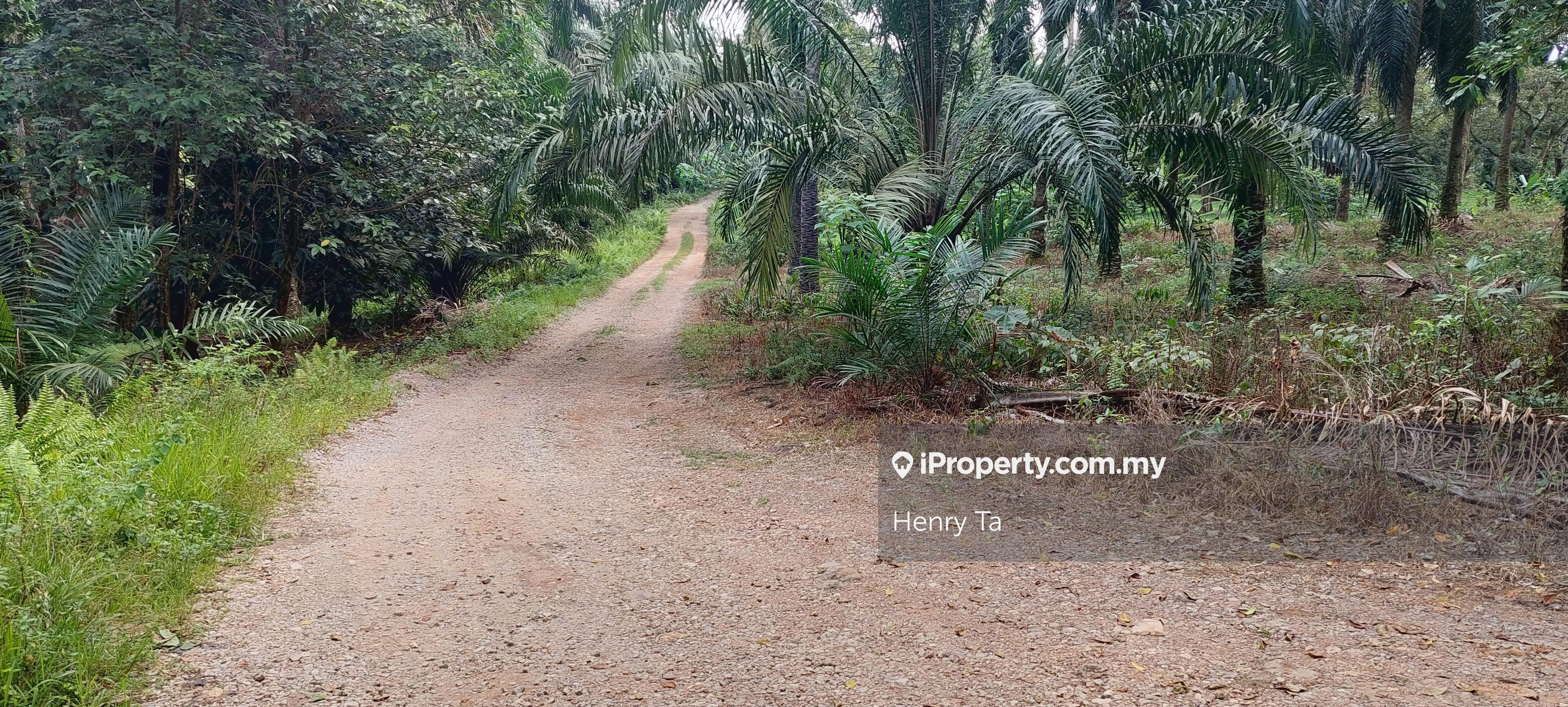 Dengkil Agriculture Land For Sale