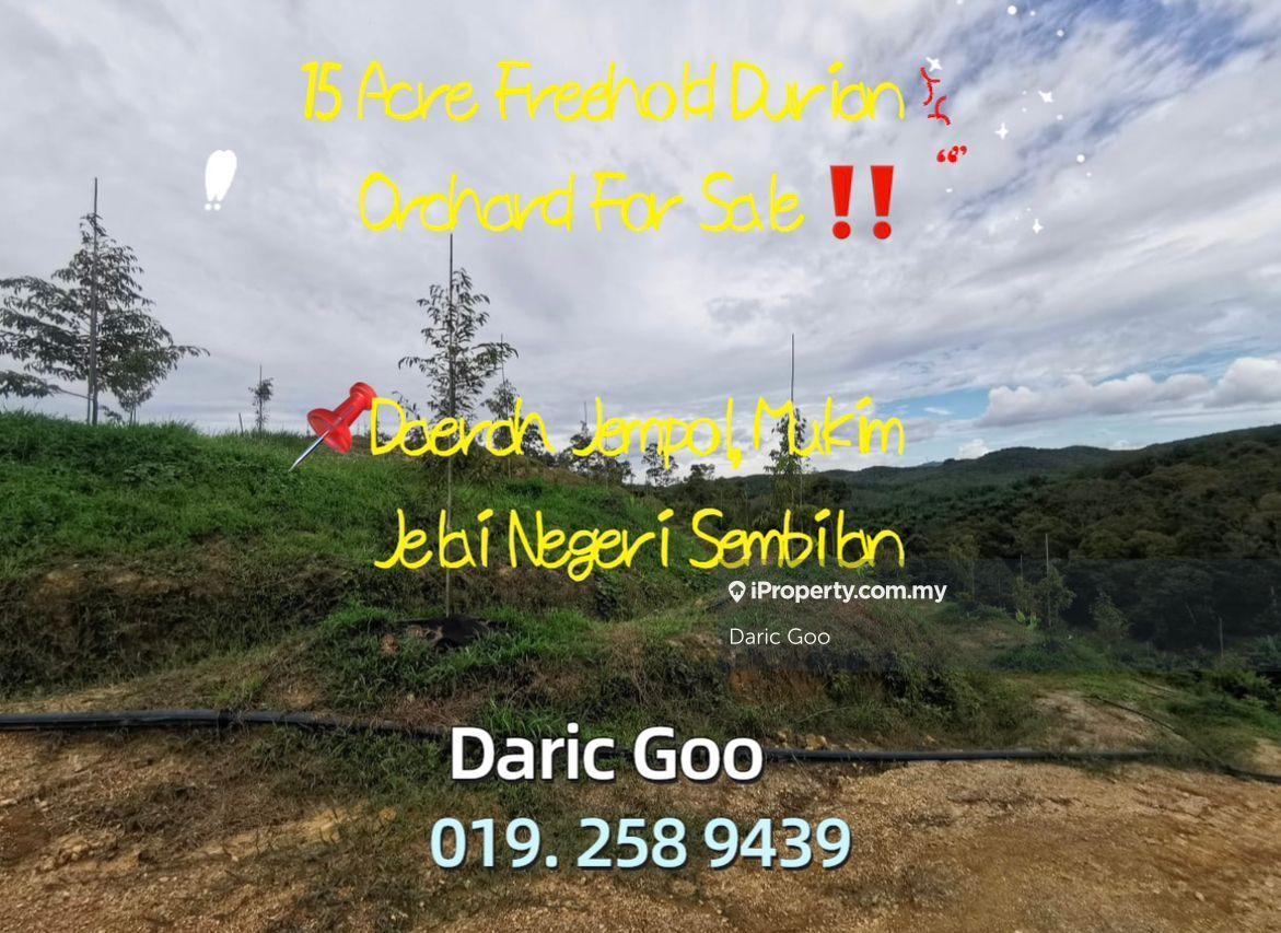 Durian Orchard For Sale At Daerah Jempol, Mukim Jelai Negeri Sembilan
