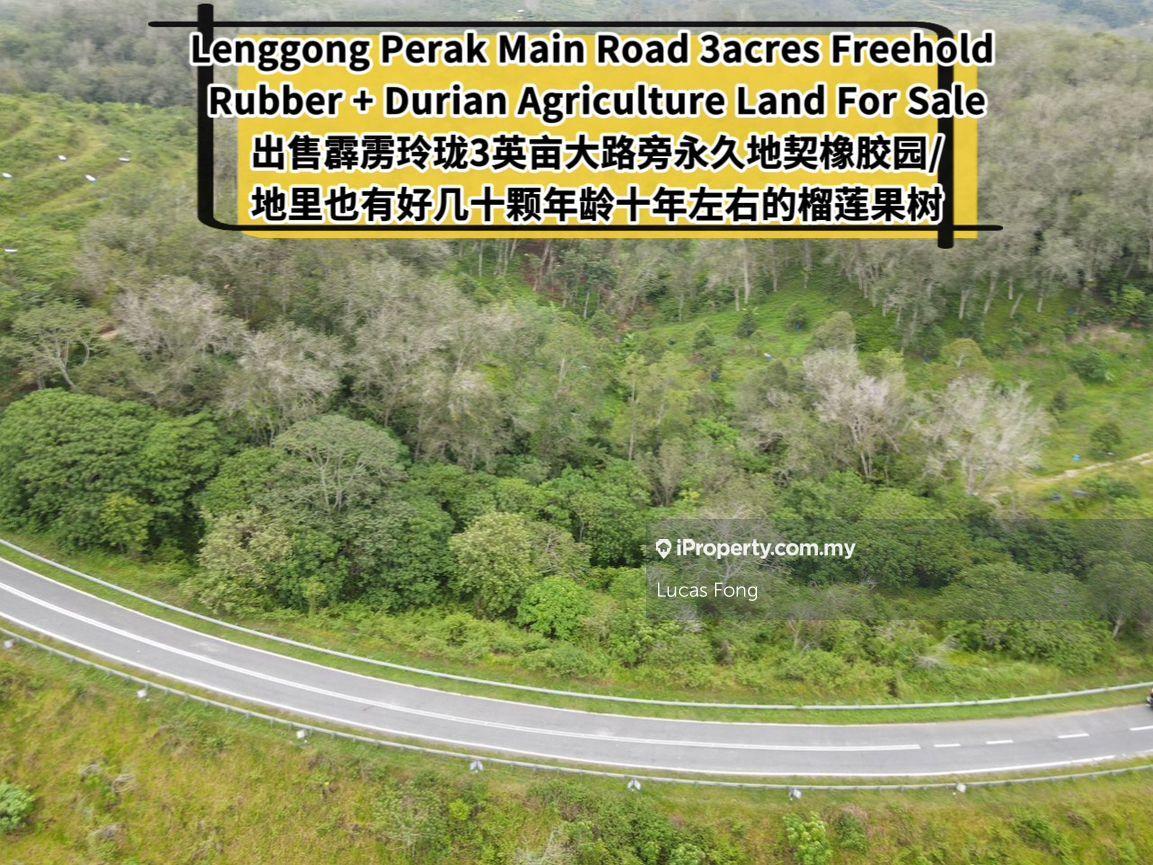 Lenggong 3acres Main Road Freehold Rubber & Durian Land For Sale