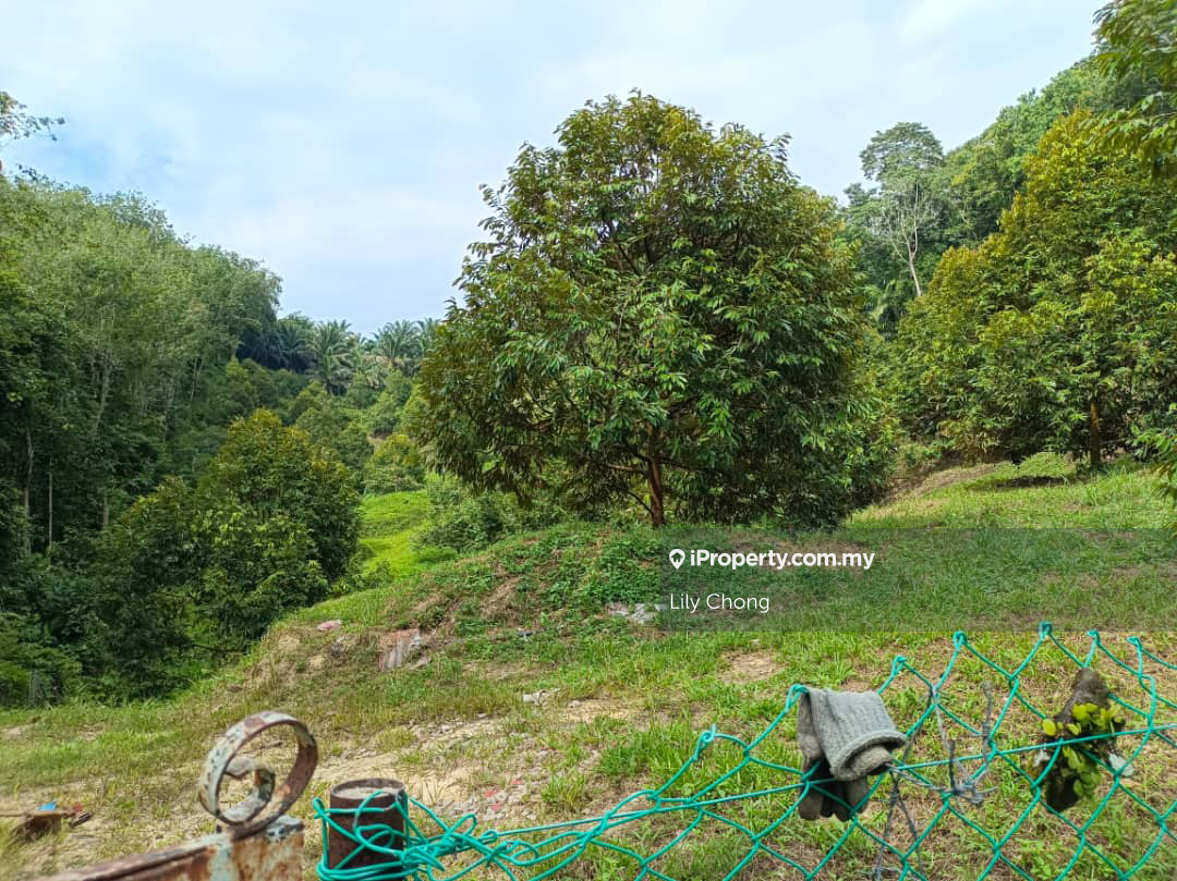For Sale Durian farm