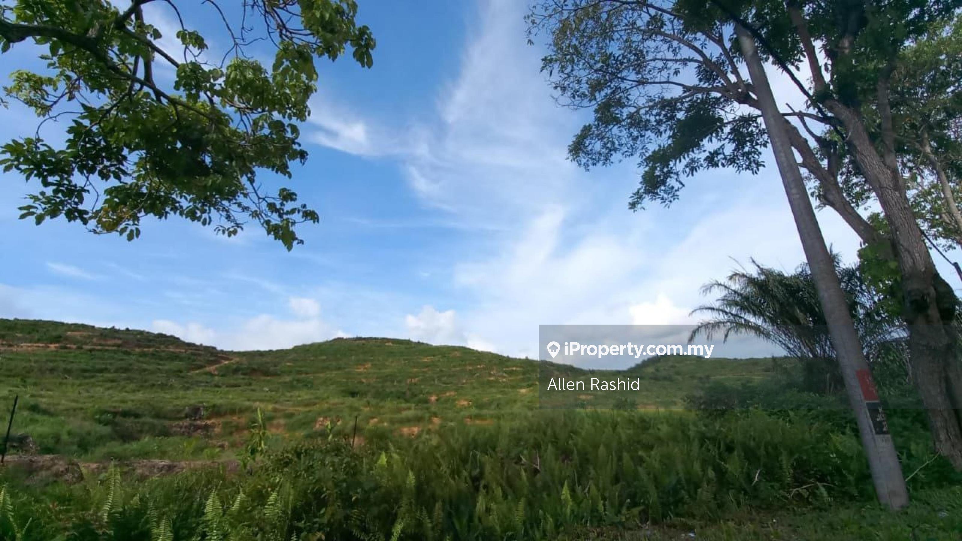 Spacious 20 Acres Agricultural Land Taula Hill, Kluang, Johor