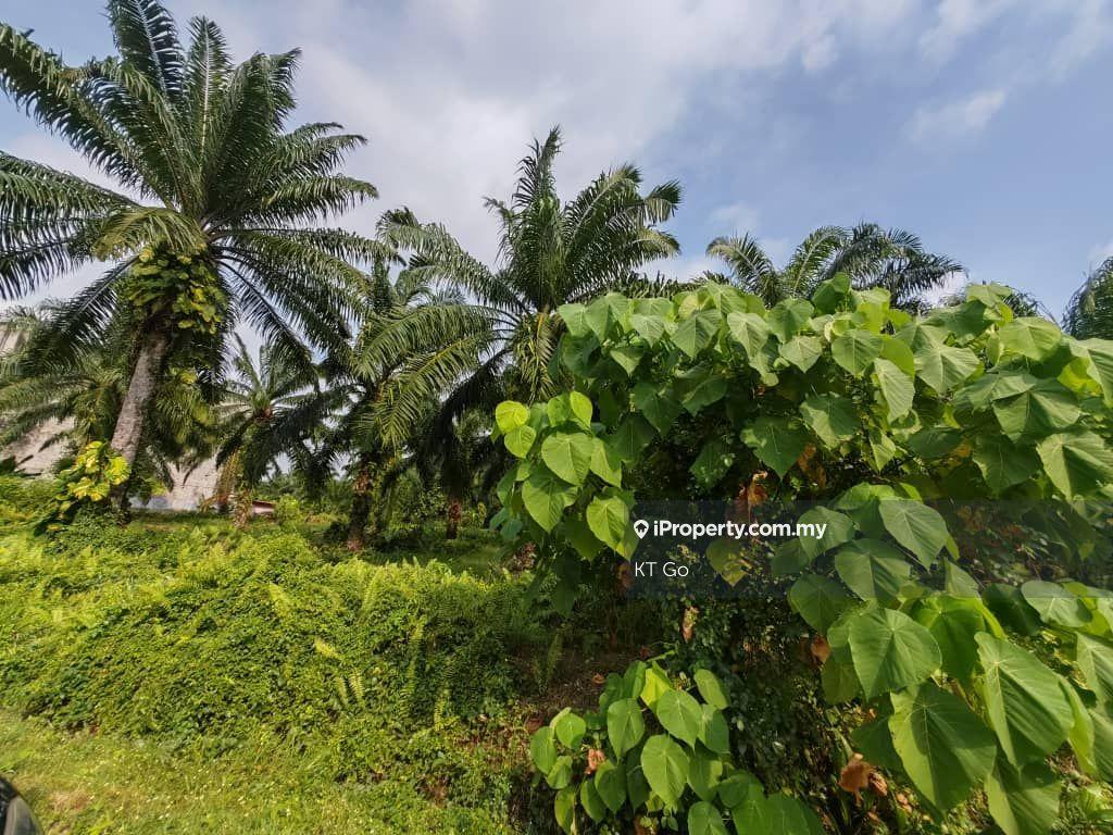 For Sell Agriculture Land Banting
