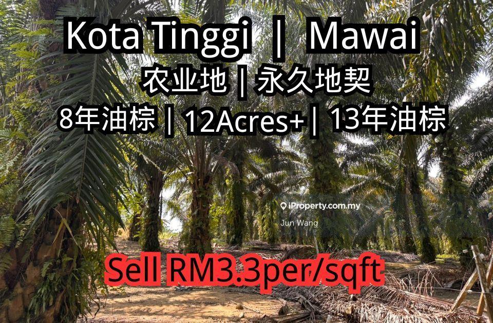 Kota Tinggi, Mawai, 12 Arces, Asking Price Rm3.3 per / sqft