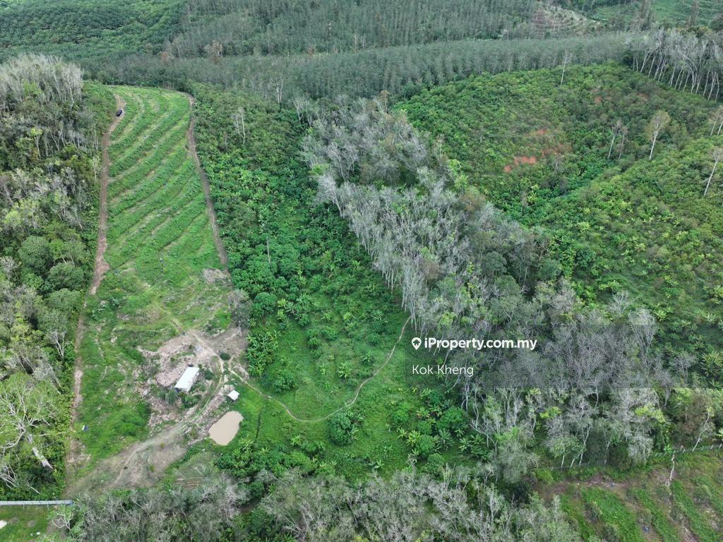 Lenggong kampung sawa 5 acres Freehold Vacant Land For Sale