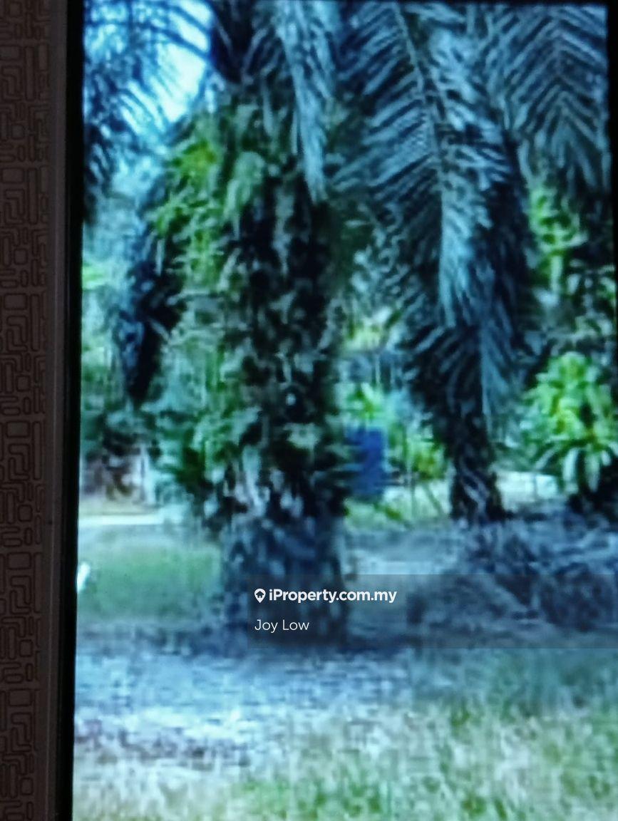Perak 576 Acres Oil Palm Plantation For Sale