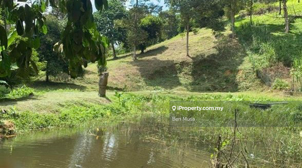 Tanah Dusun For Sale