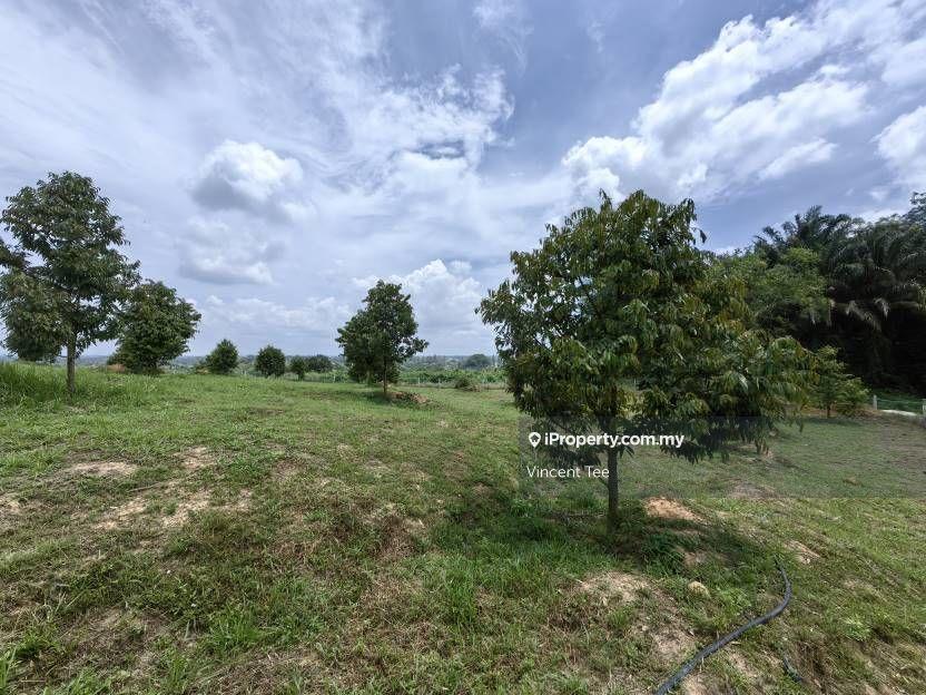 1 Acre Freehold Durian Farm Good View Bestari Jaya Kuala Selangor