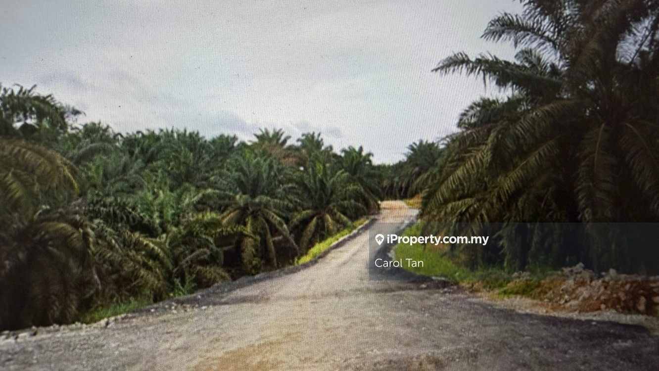 7.1 Acres Agricultural Land Senai Seelong 