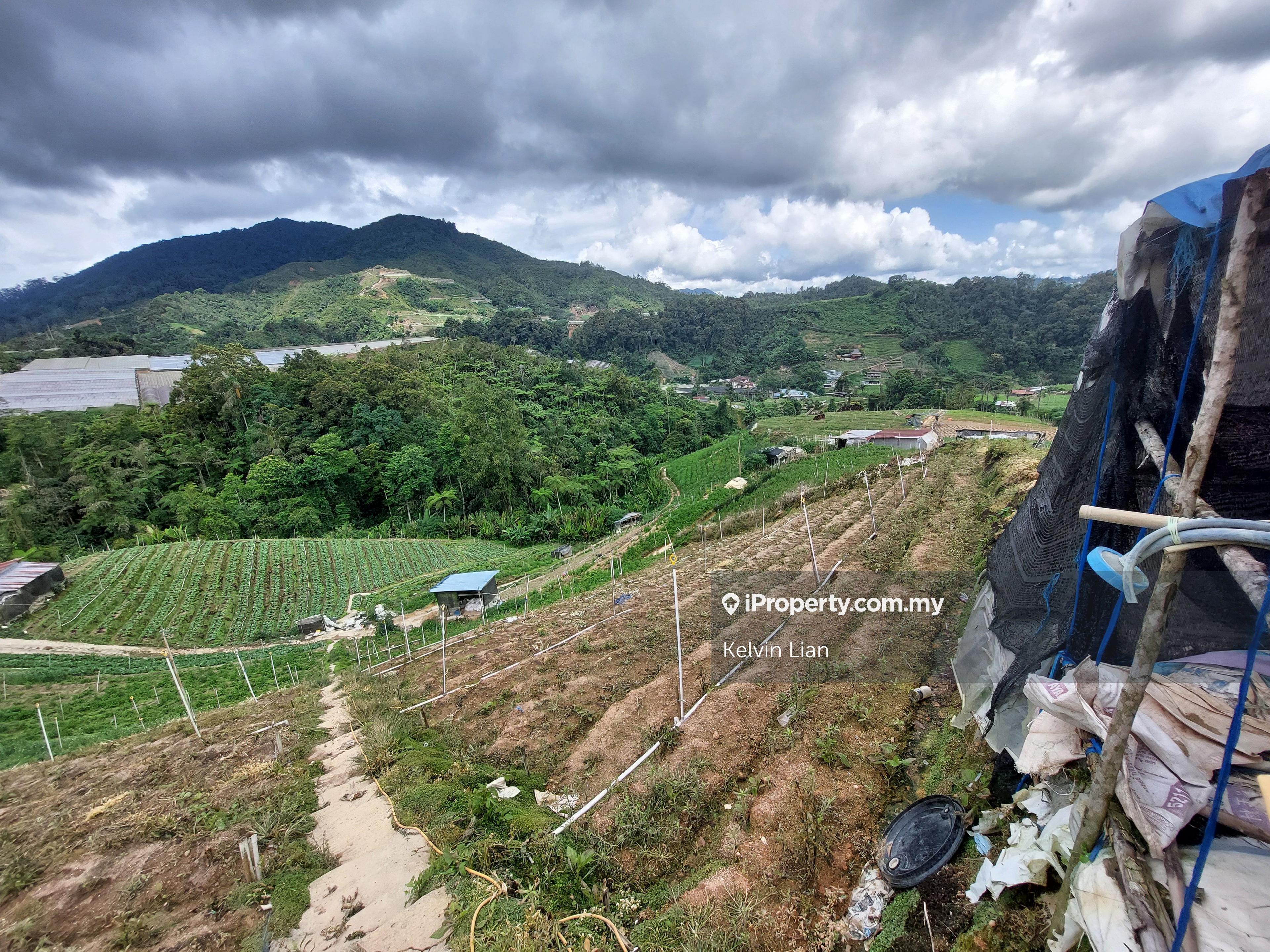 Agriculture land for Sale
