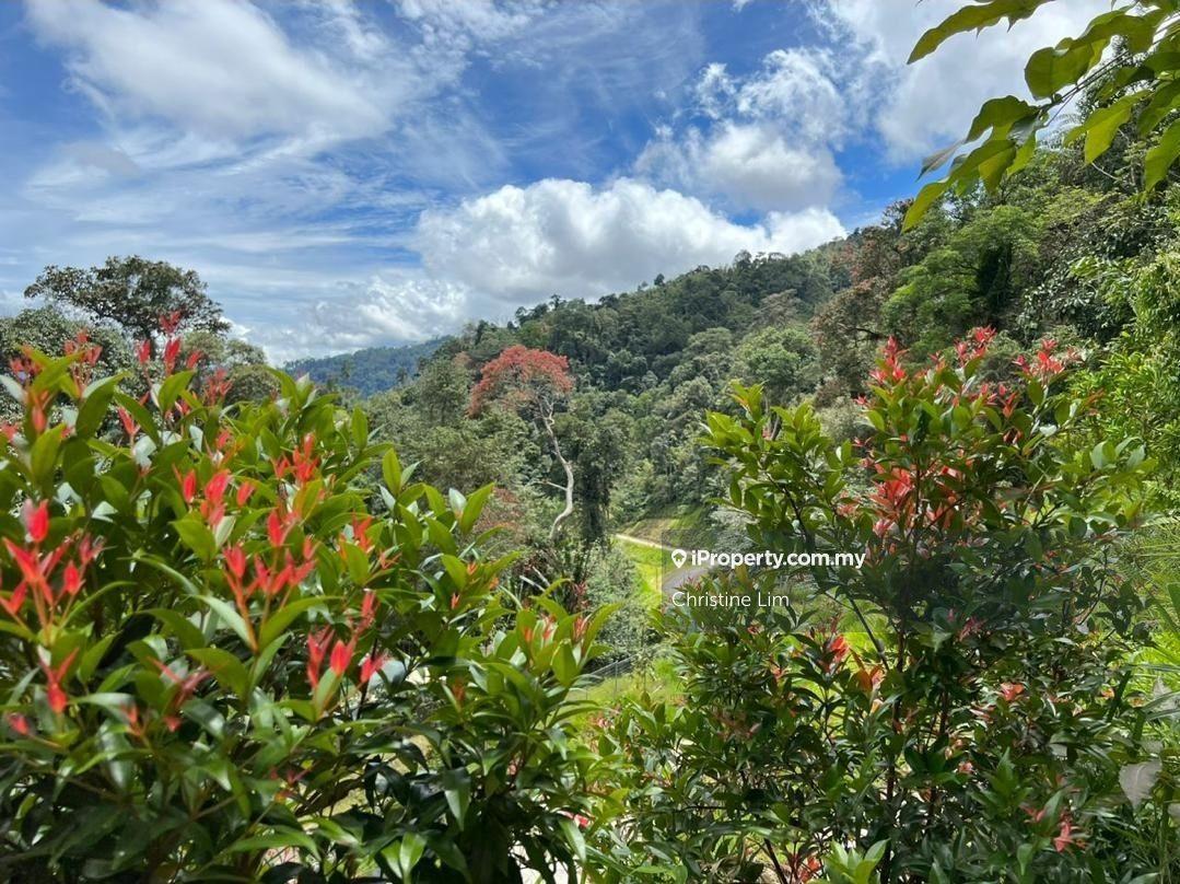 Janda Baik (Tanarimba bungalow Land)