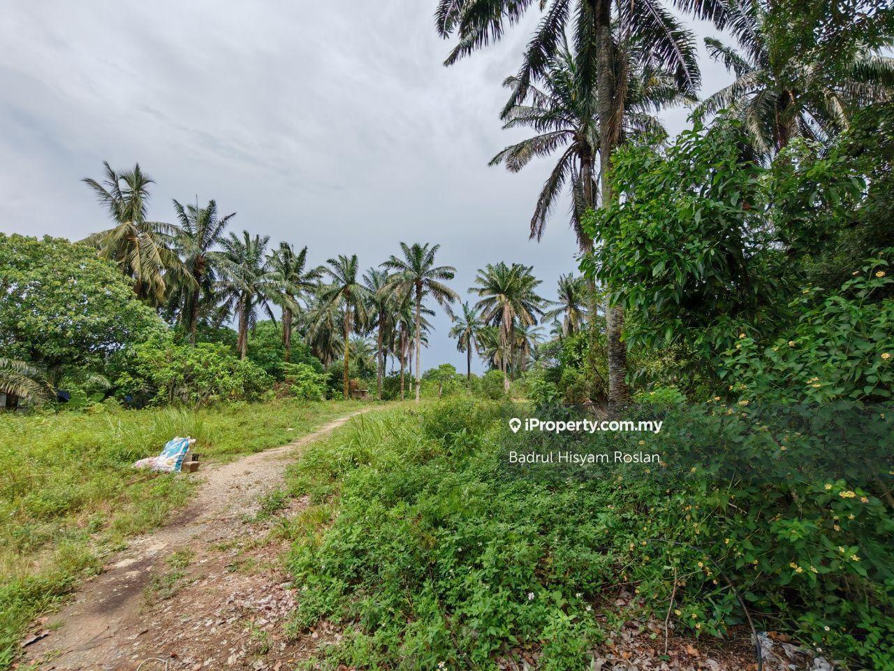 Flat Land Infra Ready 3.9 acres Residential Land Bukit Damar Dengkil