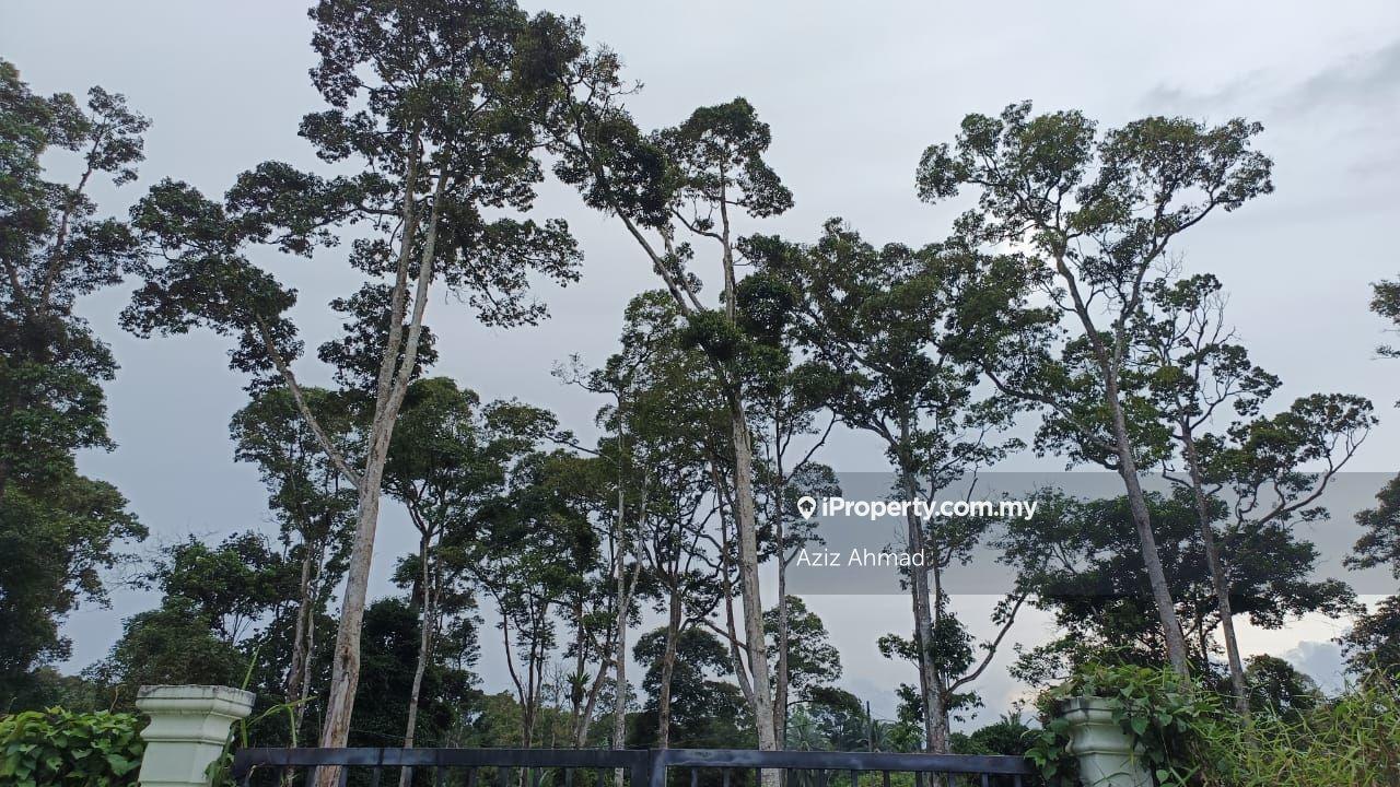 Tanah di Hulu Langat 4 Ekar sesuai untuk Pembangunan