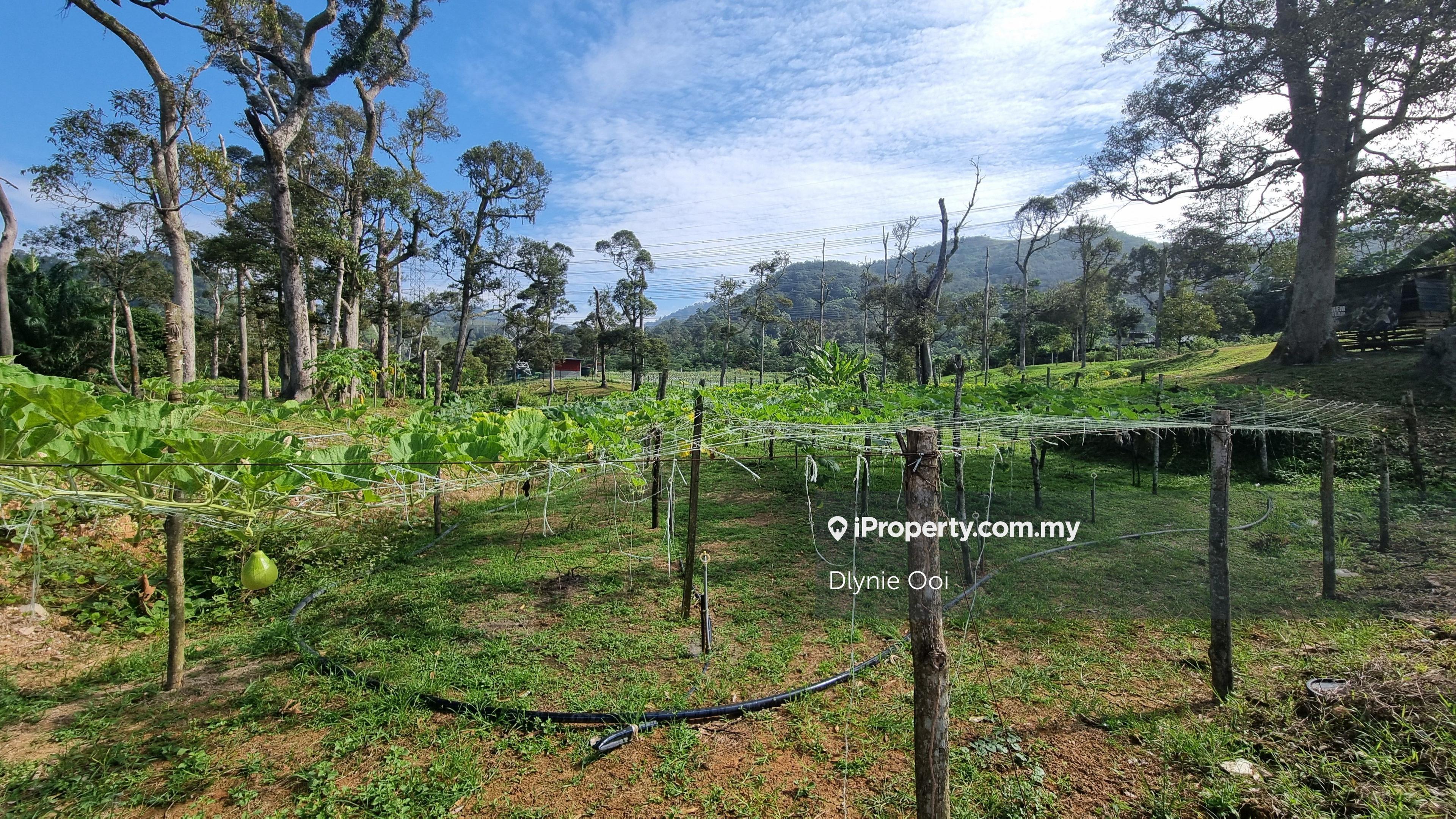 Best Deal Broga Land Broga Semenyih Agricultural Land