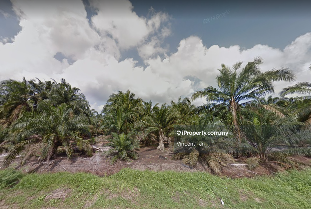 Land For Sale @ Pontian Johor