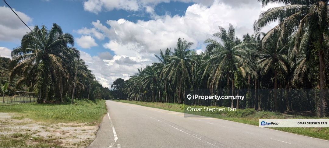 Oil Palm Plantation Land @ Jelai Batu Kurau Perak