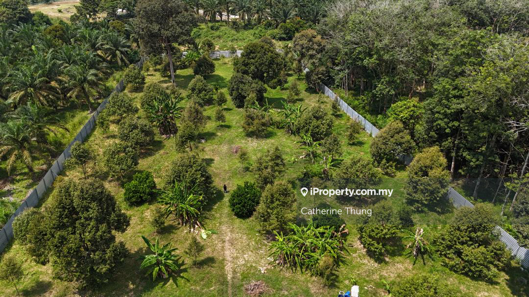 Simpang Renggam 3 acres Durian Farm Land For Sale