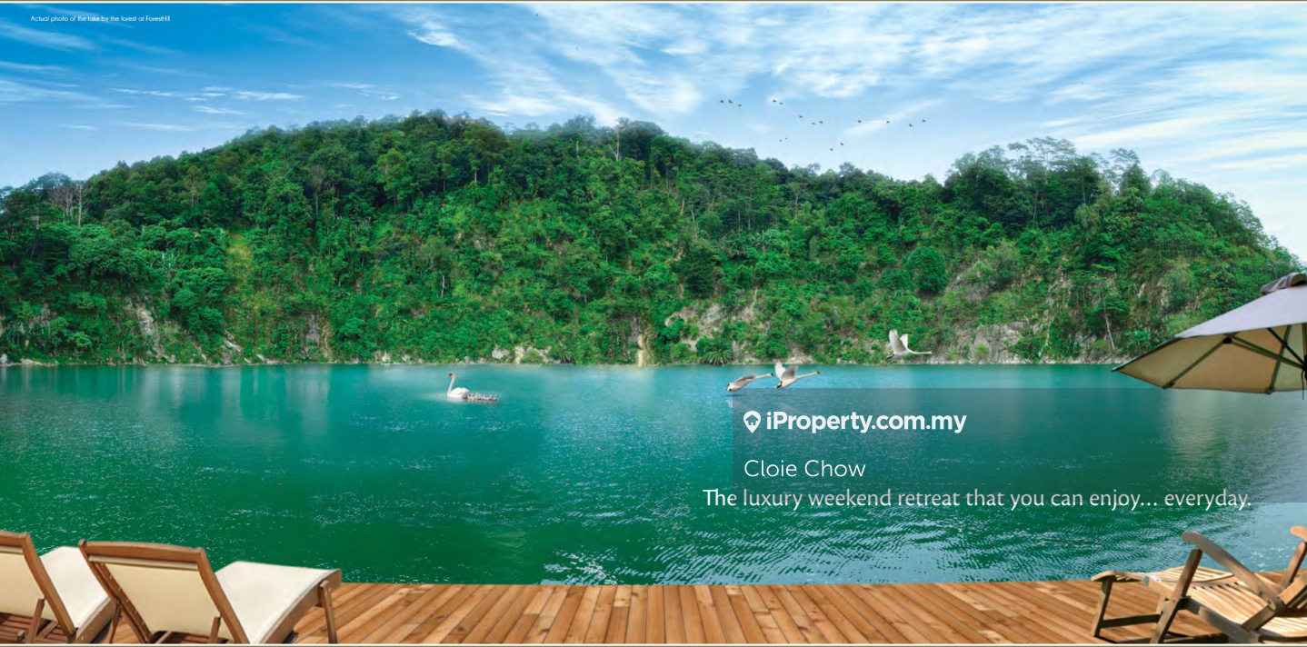 Private Lake view unit - Forest Hill condominium @ Damansara
