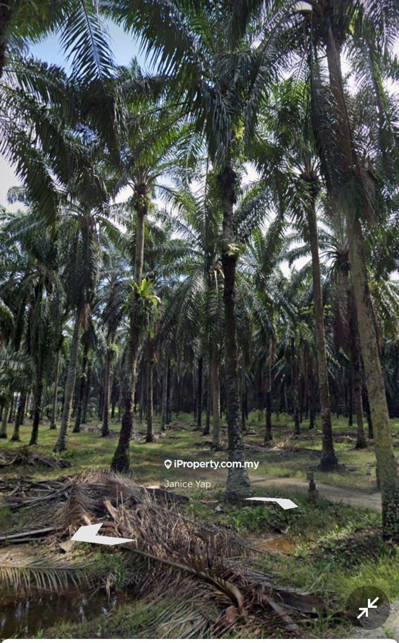 Zoning Industrial Land for Sales