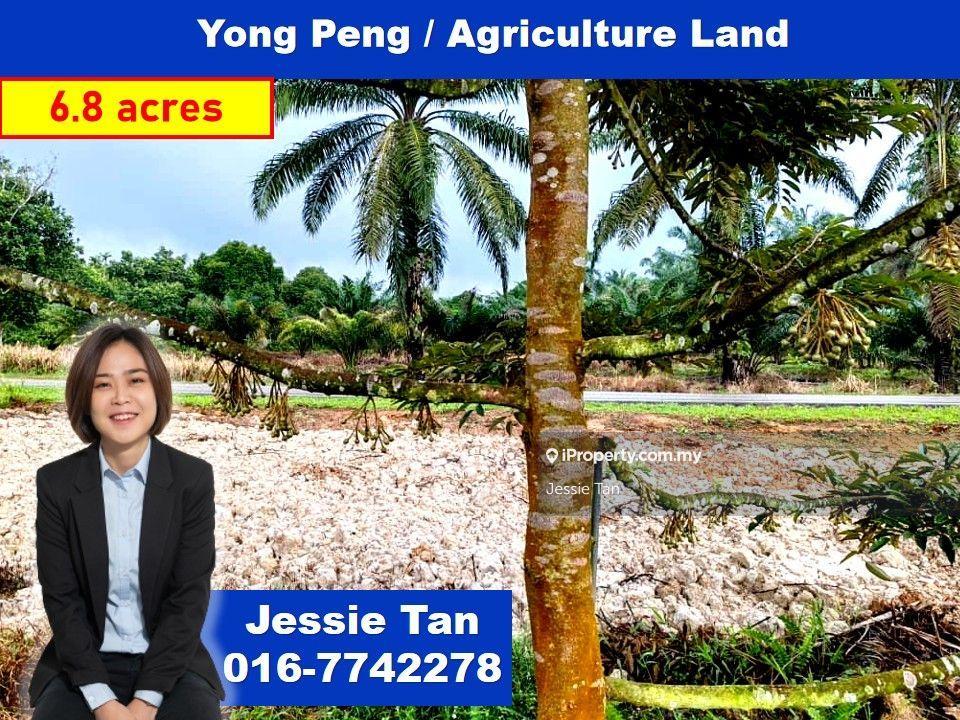 Yong peng ayer hitam agriculture land for sale