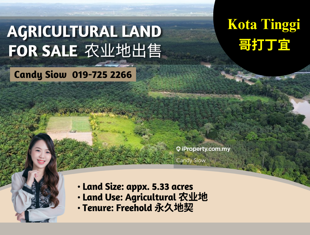 Kota Tinggi 5.33 acres Agricultural Land