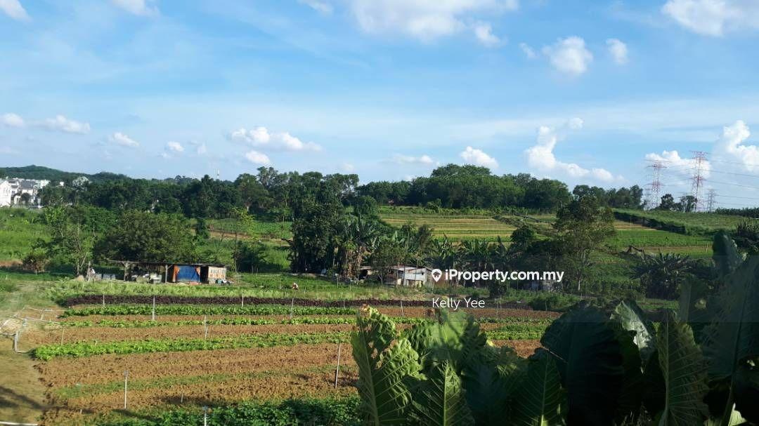Agriculture Land @ Saleng, Kulai for Sale