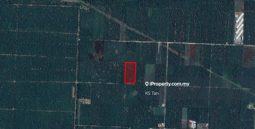 Direct Owner!! Below market value!! Agriculture land for Sale