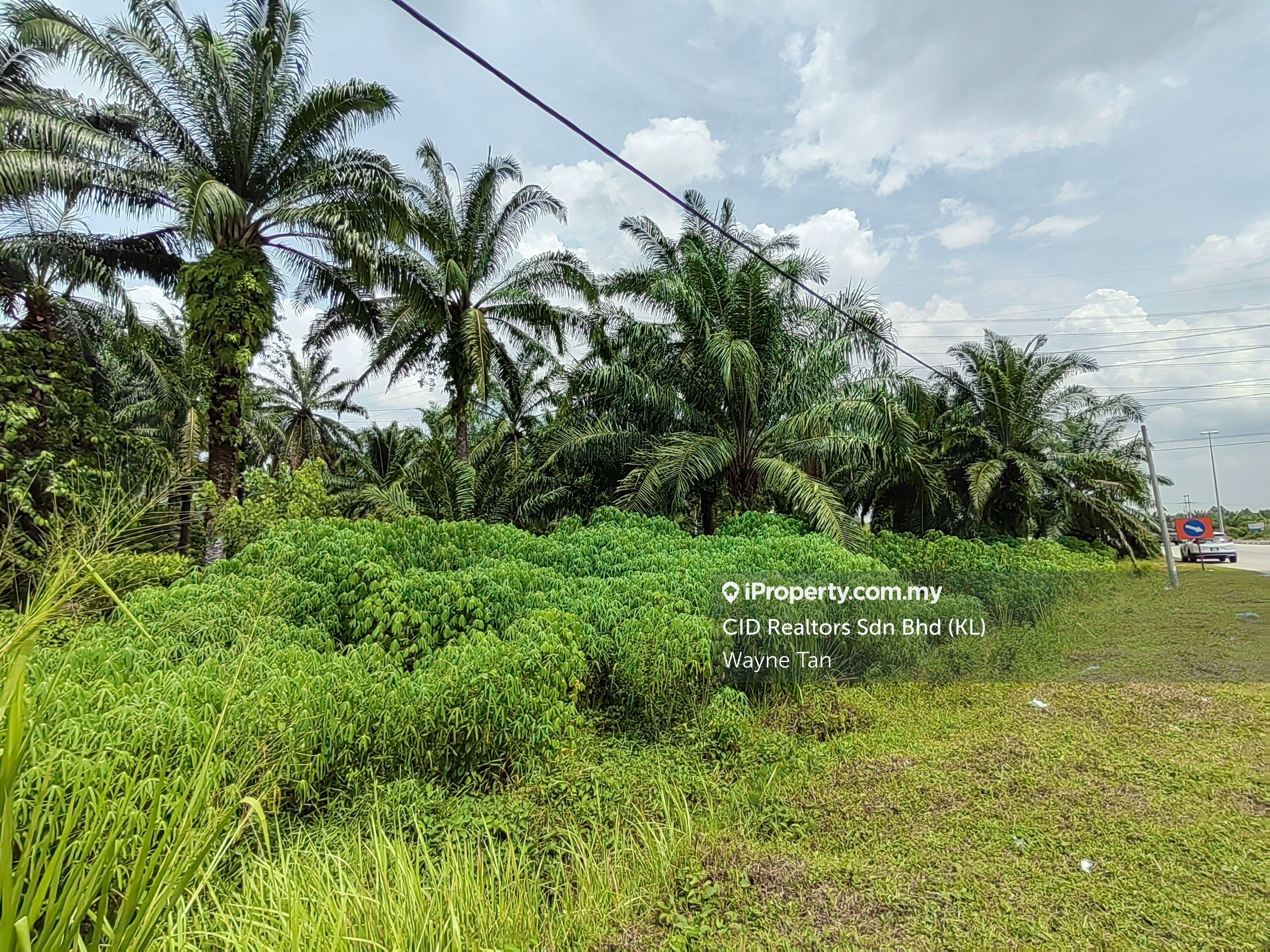 Agriculture land for Sale