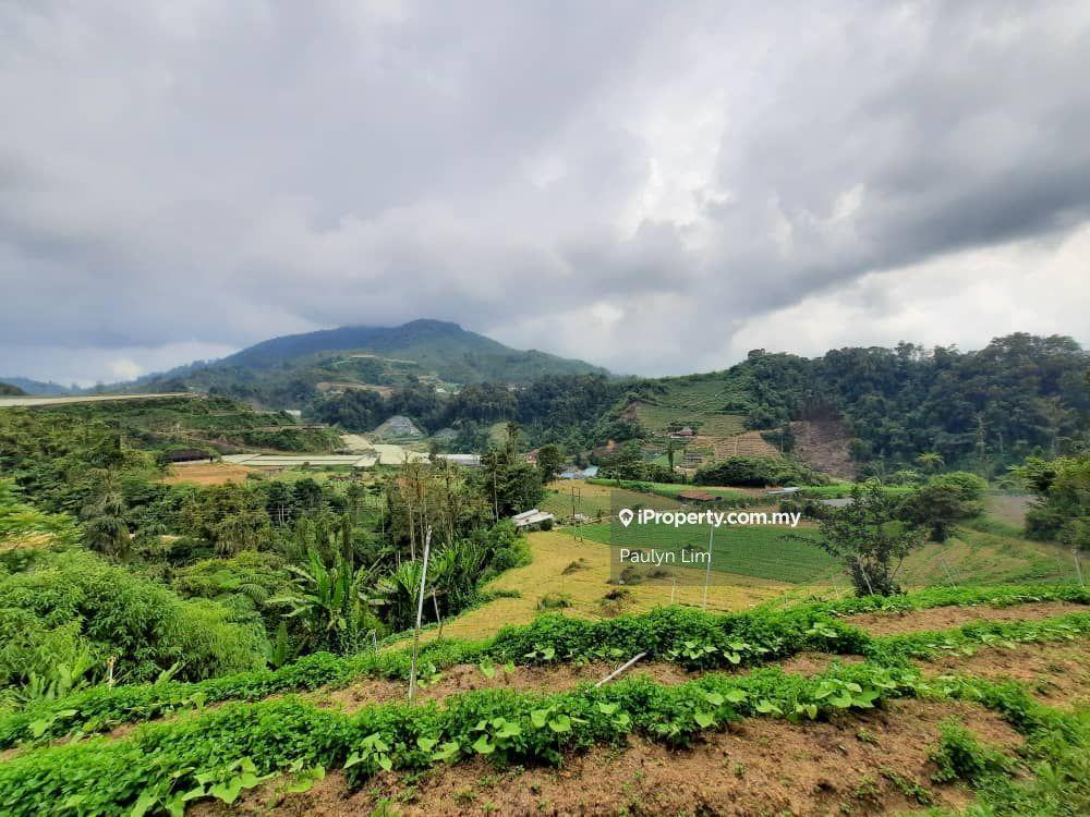40 Acres Cameron Highland Land For Sale