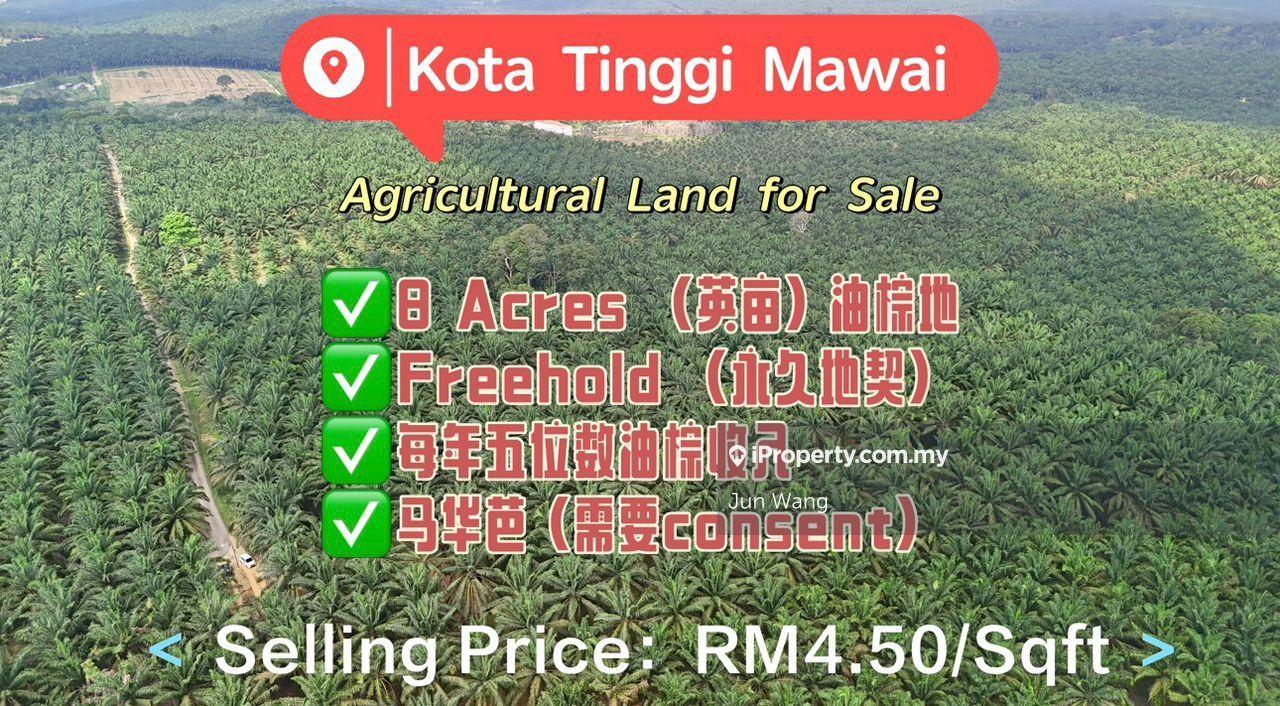 Kota Tinggi Agricultural Land, 8 Acres, Freehold