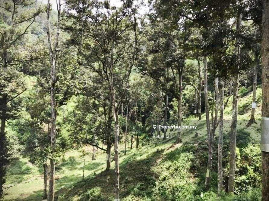 Agricultural Land For Sale in Bentong