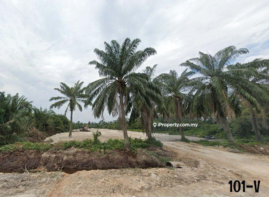 Sijangkang Agriculture Land Klang